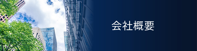 Company Overview